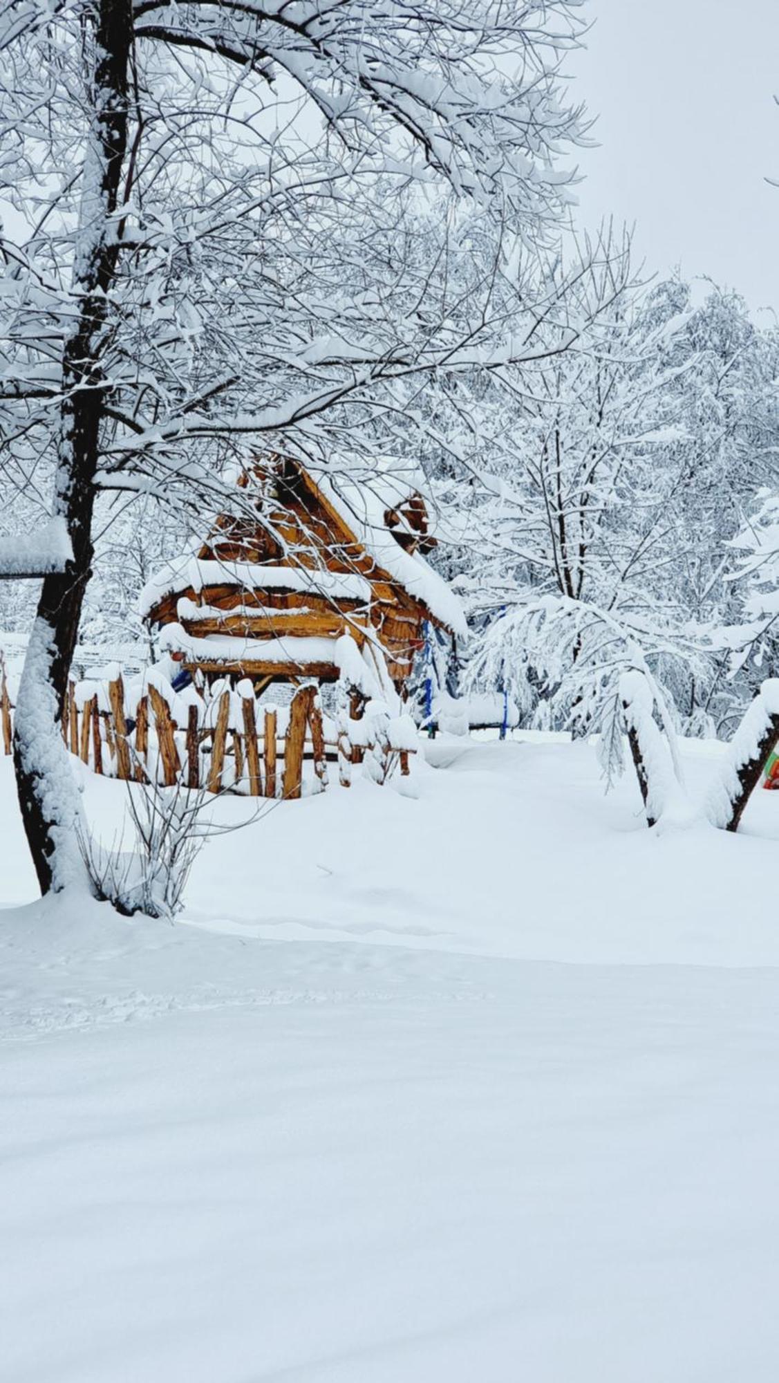 Viewtopia The Secret Land Валя-Дрэганулуй Экстерьер фото